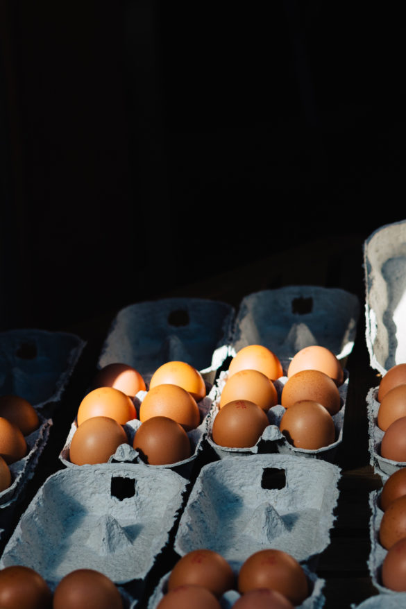 Fresh Eggs at Market